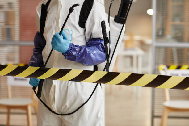 Professional Sewage Cleanup technician working in Gorham, NH
